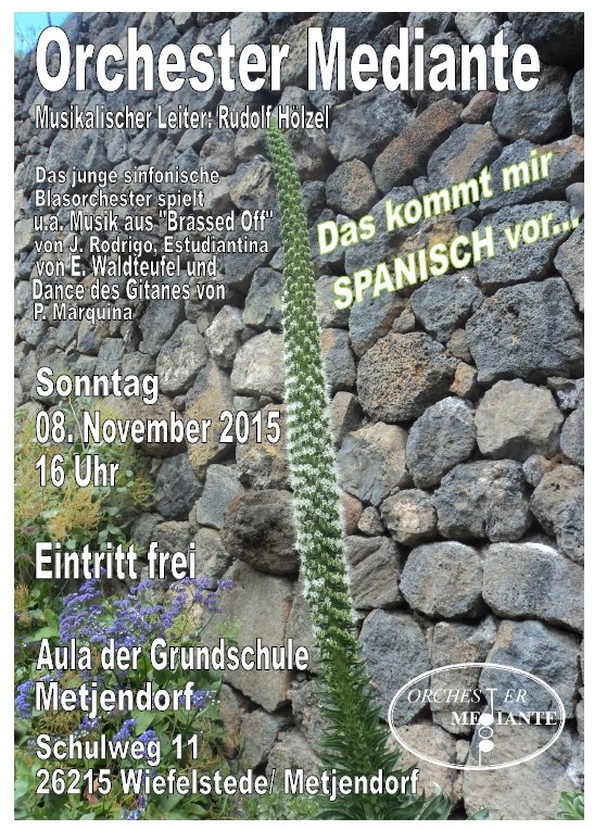 Plakat fr das Herbstkonzert in Metjendorf am Sonntag, 8. November 2015 um 16 Uhr in der Aula der Grundschule